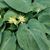 Elizabeth Trombley's profile image
