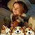 Carla Stewart's profile image