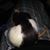 Bex Barton's profile image