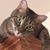 Barbara Diaz de Leon's profile image