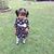 Evelin Vasquez's profile image