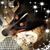 Sandra S Schoonmaker's profile image