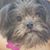 Sue Bartell Horton's profile image