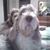 Leslie Kunz's profile image