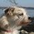 Laura Lavelle's profile image