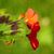 Linda Beyers's profile image
