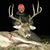 Nate Headley's profile image