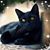 Gulya Rusrek's profile image