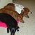 Chely Alvarez's profile image