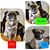 Amy Wagner Casmer's profile image