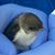 Michelle Hall's profile image