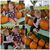 Tammy J. Bruender's profile image
