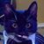 Patricia Palardy's profile image