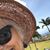 Beverly Rose Bonner's profile image