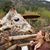 Debby Johnson's profile image