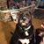 Deidre Corbet's profile image