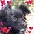 Marsha Norlock's profile image
