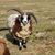 Beverly Greenwood's profile image