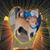 Kathryn Johnson's profile image