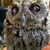 Emmalyn A Rebenewitz's profile image