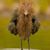 Bj Phillippe's profile image