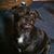 Phyllis J. Raudman's profile image
