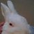 Hiro Kawashima's profile image