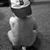 Jeff Pollitt's profile image