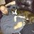 Steven Willden's profile image