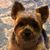 Tere Silva's profile image