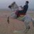 Mohamed Raslan's profile image