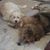 Cathy Schamberger's profile image