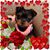 Sherri Black's profile image