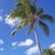 Deb Christensen Kingma's profile image