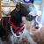 Sue Loving's profile image