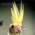 Alysia Wolf's profile image