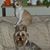 Cathy Saremi's profile image