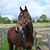 Laura Helms's profile image