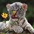 Cathy Mclain's profile image