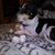 Shannon B Black's profile image
