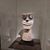 Dan Neumann's profile image