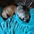 Doreen Stearns's profile image