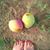 Claudia Unik's profile image