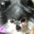 Brenda Perkins Clark's profile image