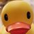 Bryan Scalzo's profile image