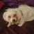 Linnea Krivoshey's profile image