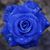 Jane Guillot's profile image