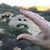 Valerie Dorosz's profile image