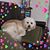 Paty Rueda's profile image