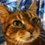 Gina M. Furey's profile image